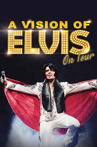 A Vision Of Elvis